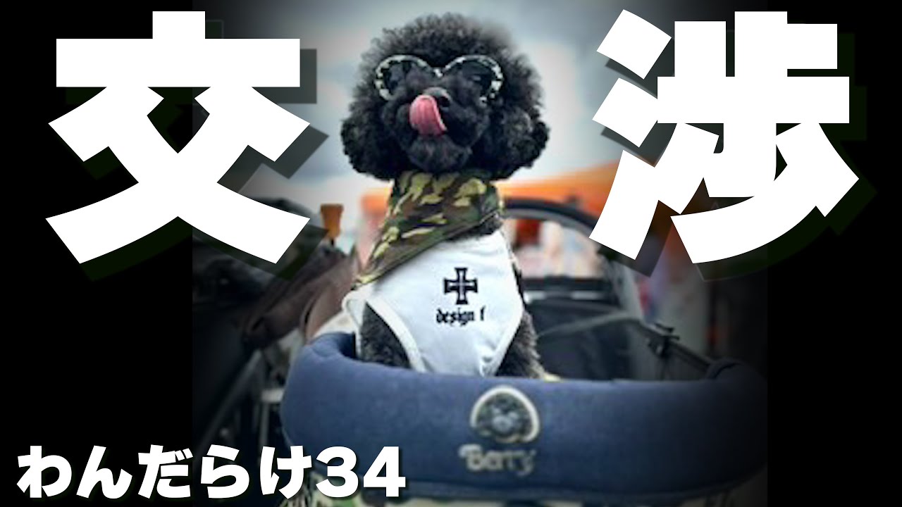 【わんだらけ34】日本最大級のイベントで運命の取引交渉！