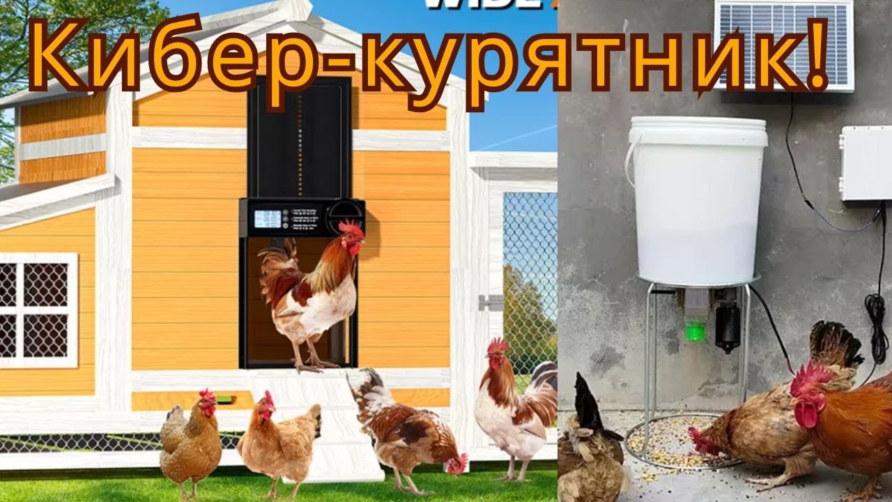 🤖 Умный курятник, который работает за вас! ⏰🐔✨ Автоматизация для кур, уток и голубей – это гениально