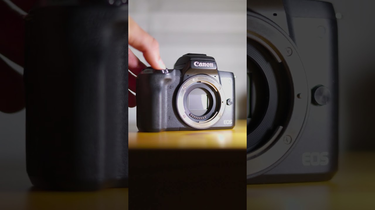 Camera ASMR | Canon M50 #shorts #asmr #camera #canon #shutter #sensor