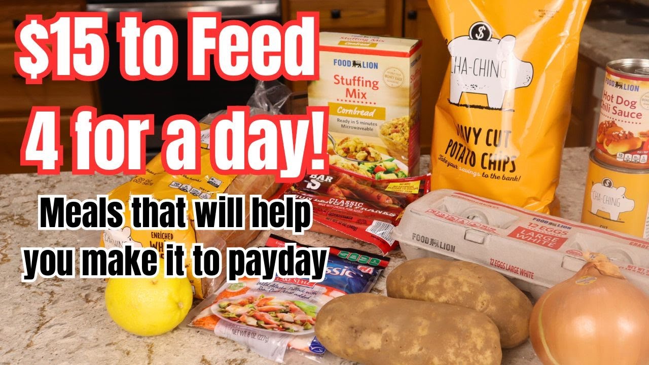Can $15 Feed a Family of 4 for a full day? (No Pasta, Beans, or Rice!)