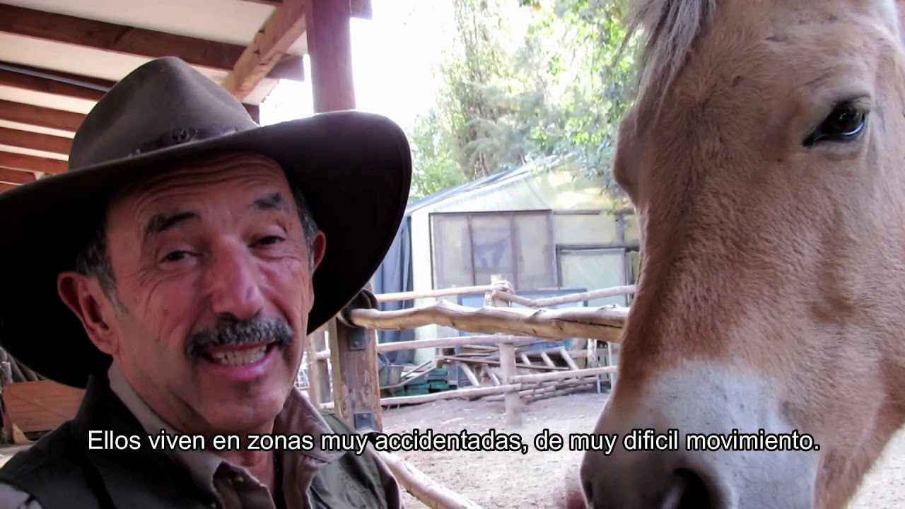 BUIN ZOO TE ACOMPAÑA EN CASA (Recorriendo el Baby Zoo Parte 2)