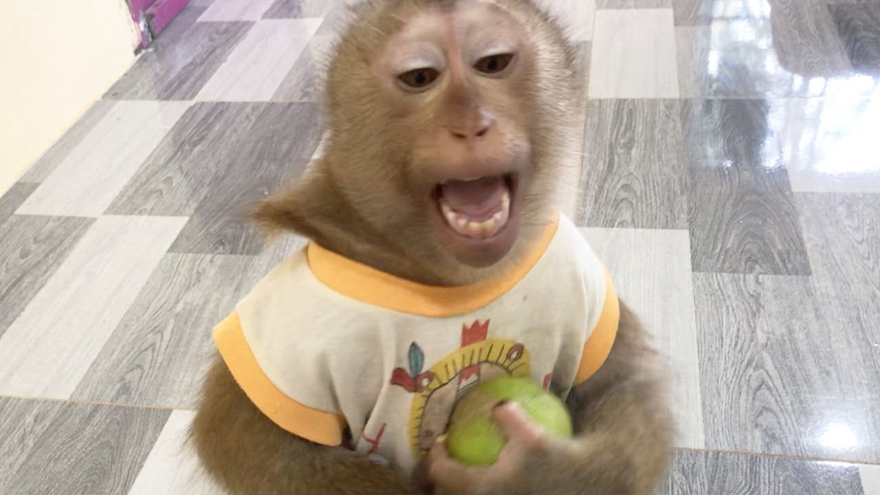 Smart Jason Iconic Friendly Invite Dad To Eat Orange
