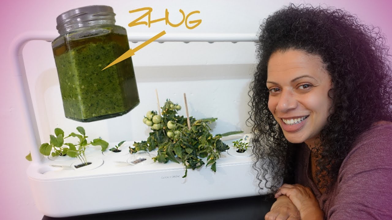 Adventures with Click & Grow 9 Pro Smart Garden + How to Make Zhug (Yemenite Green Hot Sauce)