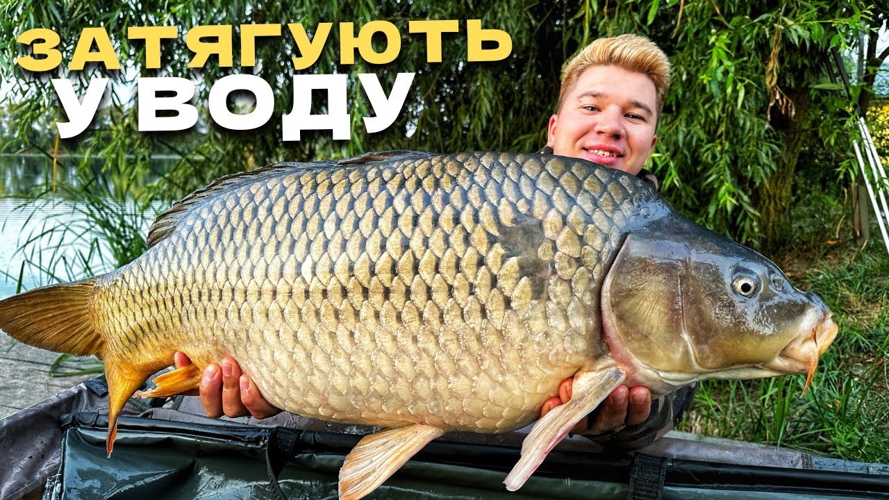 ОЦЕ ДУРНЕ КЛЮНУЛО, ШО ВОНО ТАКЕ? Озеро Картар!