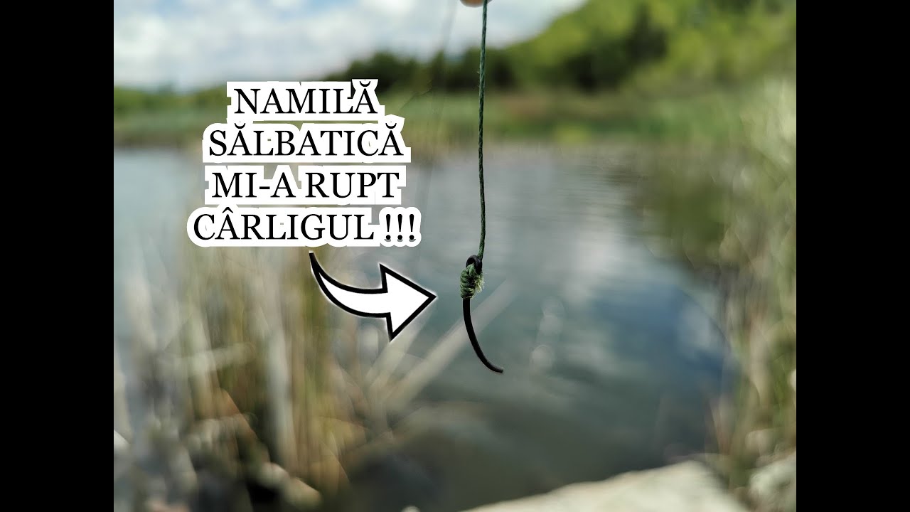 Pescuit la CRAP SALBATIC - MI-A RUPT C&Acirc;RLIGUL O NAMILĂ