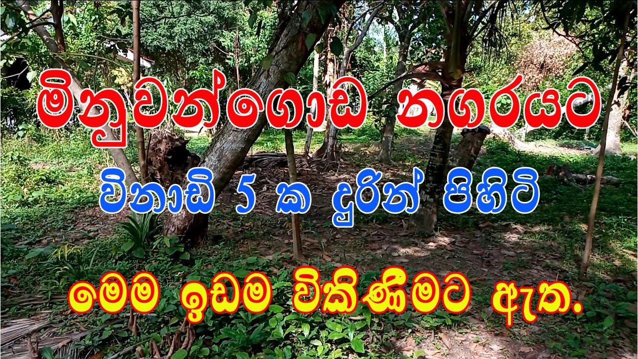 Land sale in Sri Lanka | Land sale in Gampaha District | Land Sale in Minuwangoda
