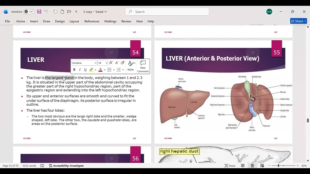 liver | GIT | structure | function | lobe | synthesis | BSN | MLT | DENTAL | RADIOLOGY| LECTURE 7