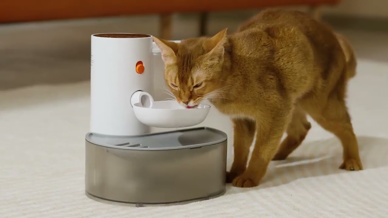 Питний фонтан для котів та собак PetGravity 3L, розумна поїлка з системою очищення