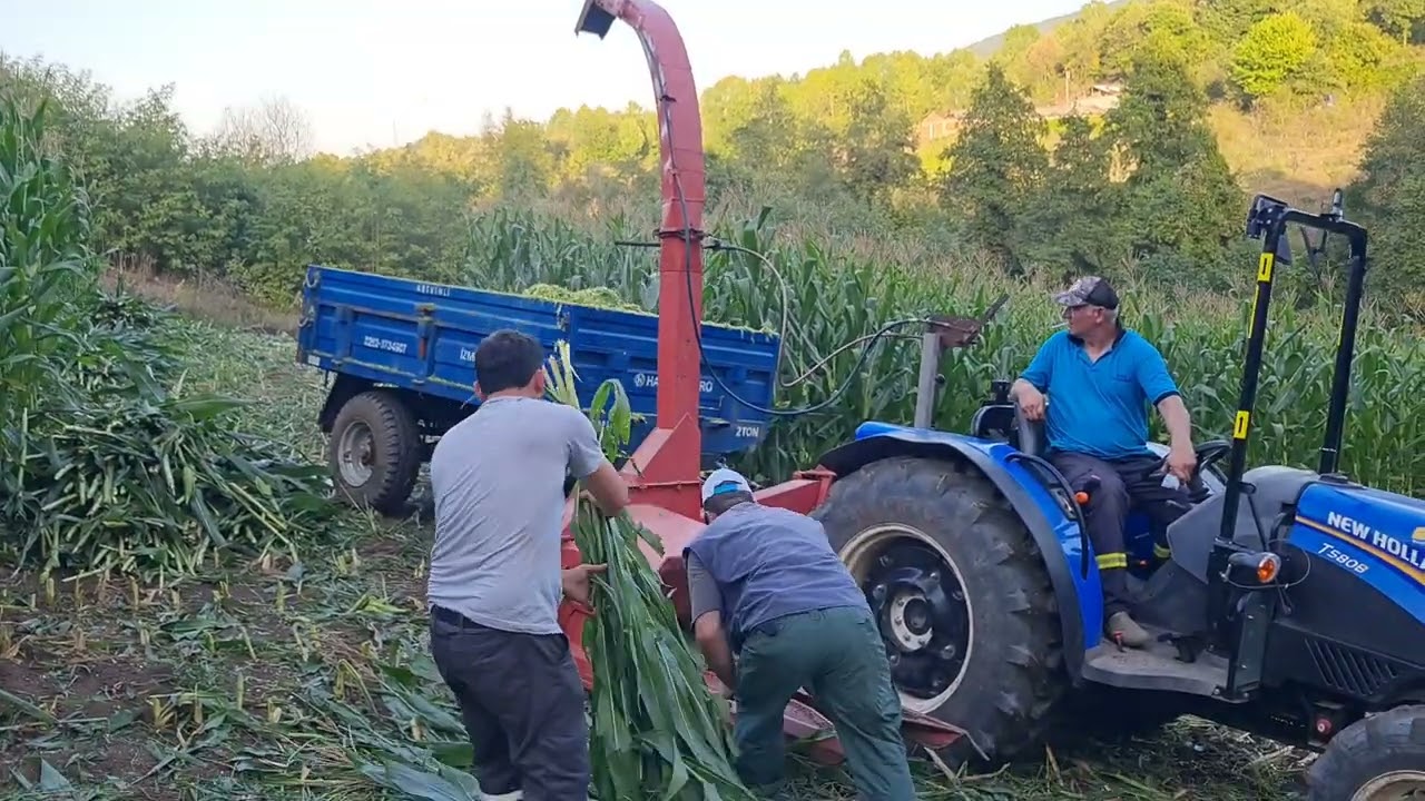 New Holland T580B 4WD & PZ ZVEEGERS MH 80 S ile Silaj zamanı