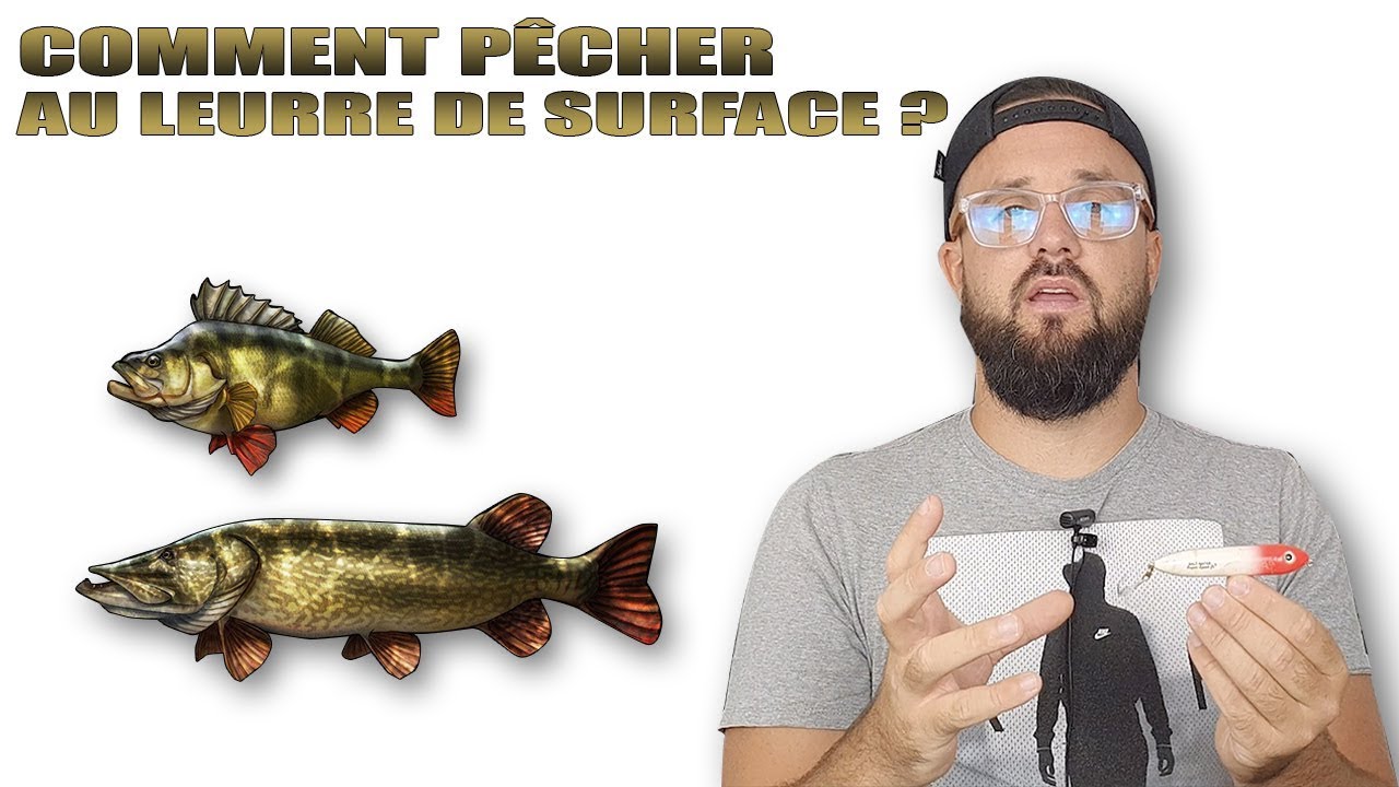 DÉBUTANT 2 PÊCHE #9 : Comment PÊCHER le BROCHET et la PERCHE au LEURRE de SURFACE ?
