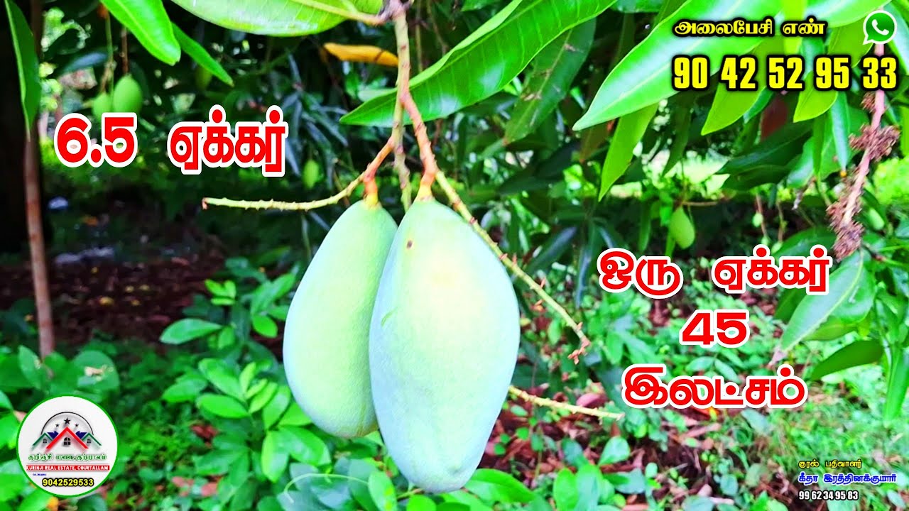செங்கோட்டை Railway Station அருகாமையி ஒரு ஏக்கர் 45 இலட்சத்தில் ல் 6.5 ஏக்கர் தோப்பு விற்பனைக்கு