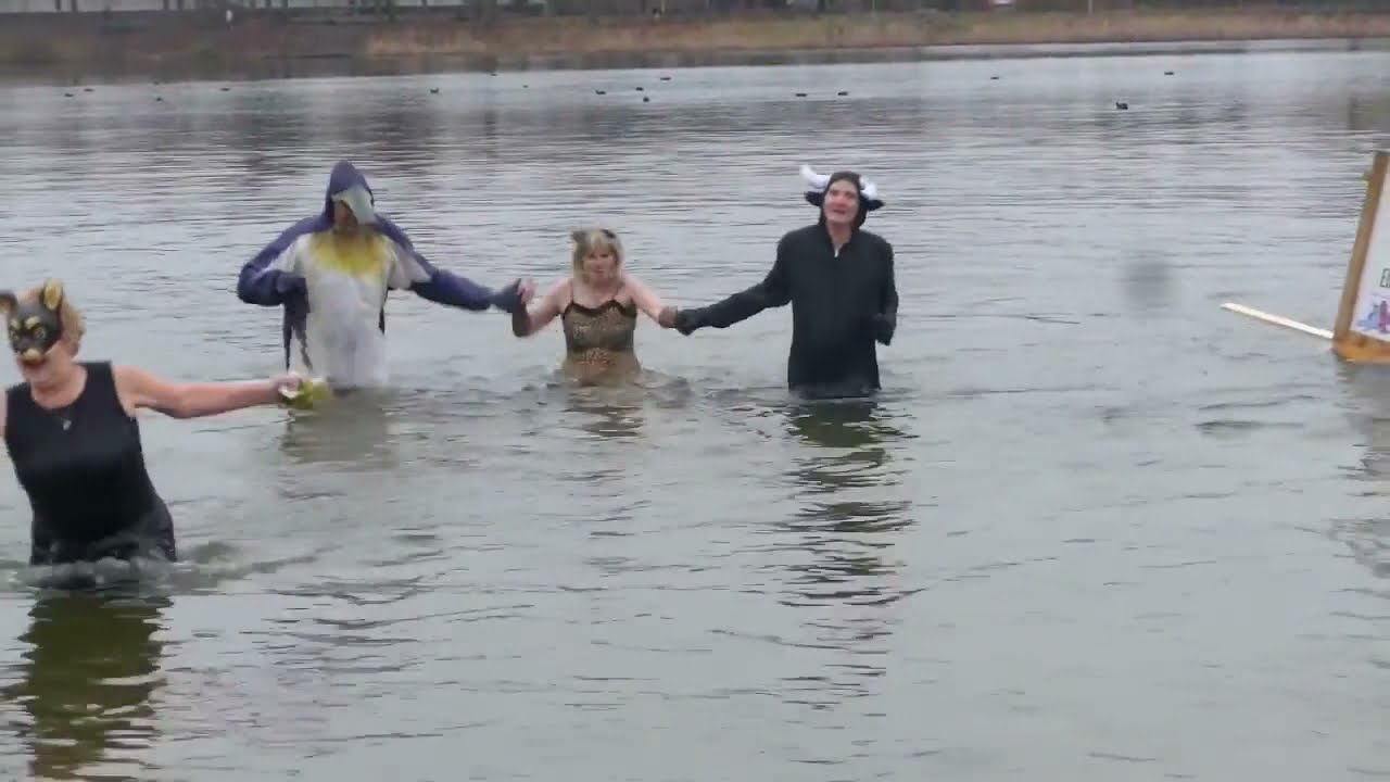 Berliner Seehunde Winterschwimmen im Orankesee  Alt Hohenschönhausen