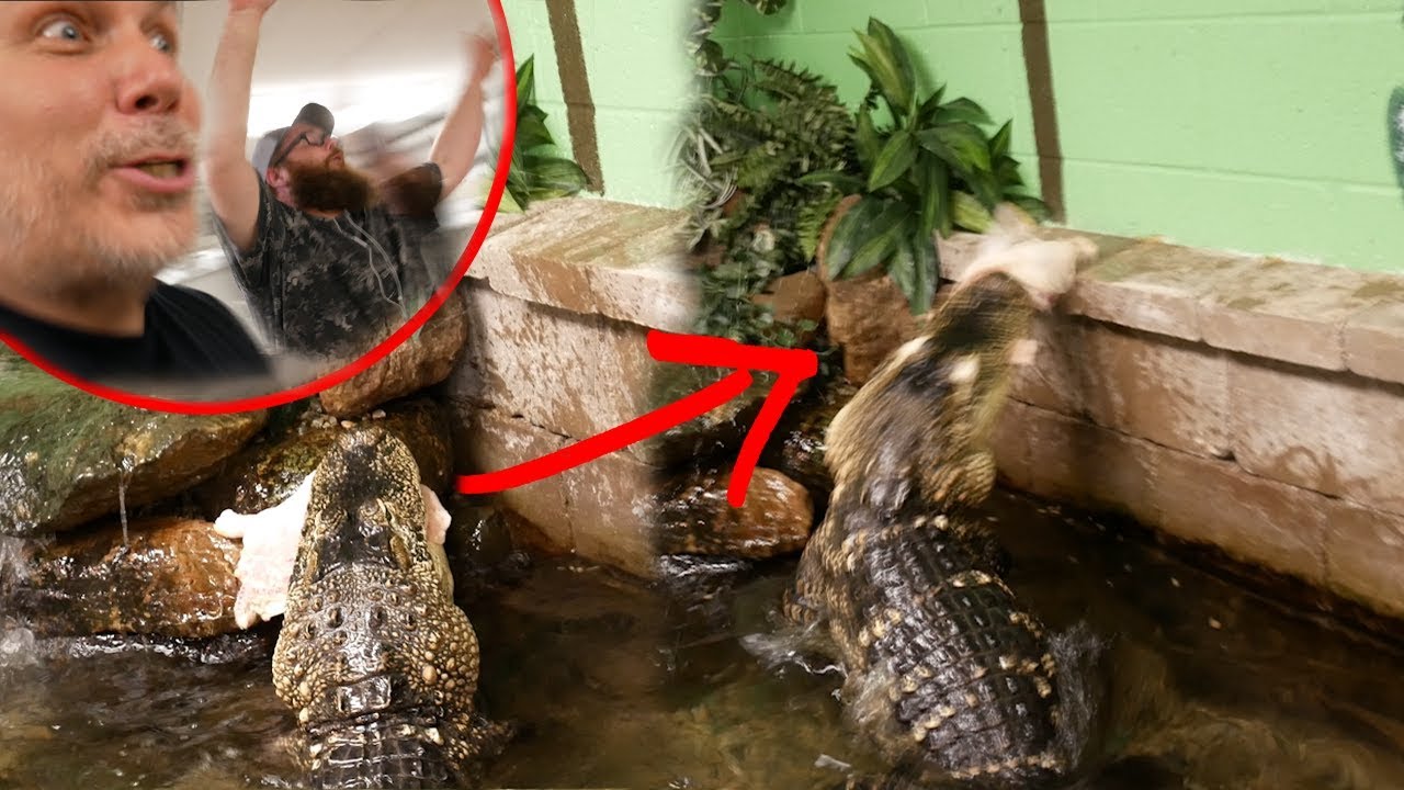 Our GIANT ALLIGATOR had a SUPRISING REACTION to his THANKSGIVING DAY MEAL!?!