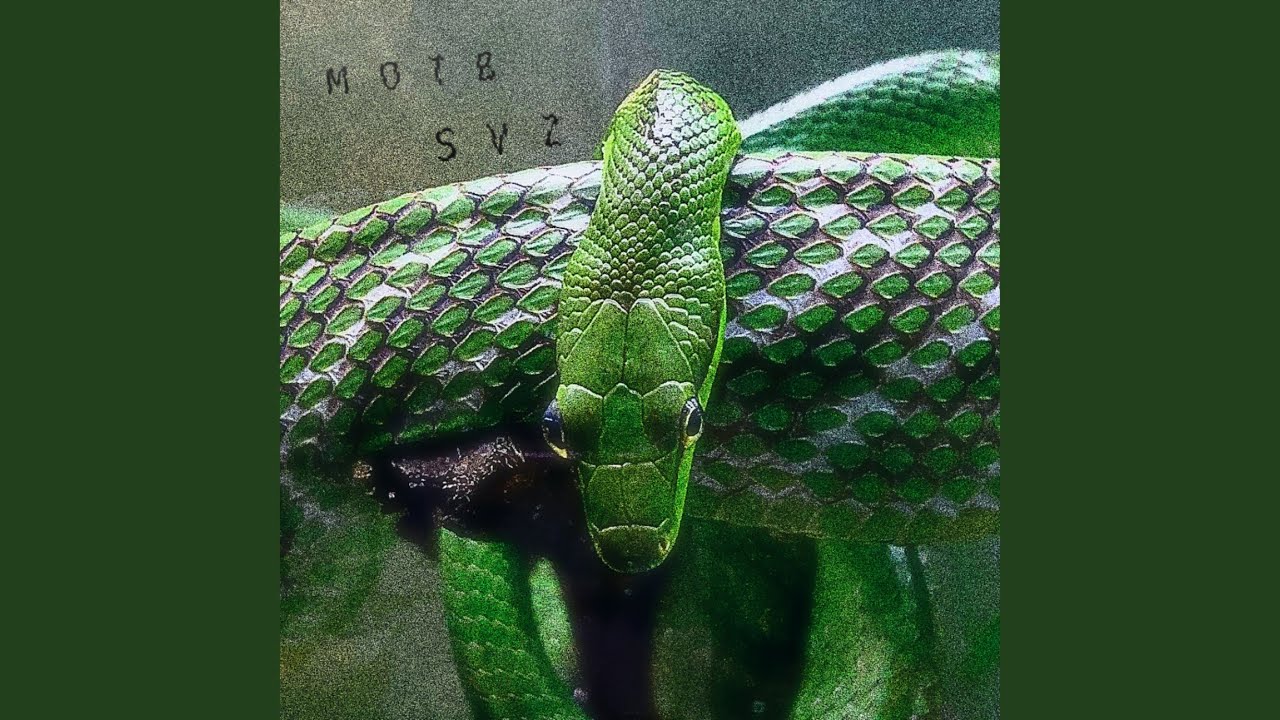 Svz