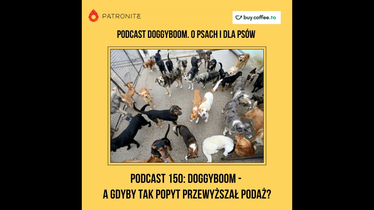 Podcast 150: DoggyBoom - a gdyby tak popyt przewyższał podaż?