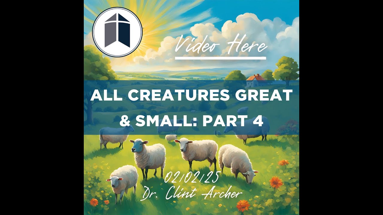 Fantastic Beasts And Animals In Heaven (All Creatures Great & Small, Pt 4)