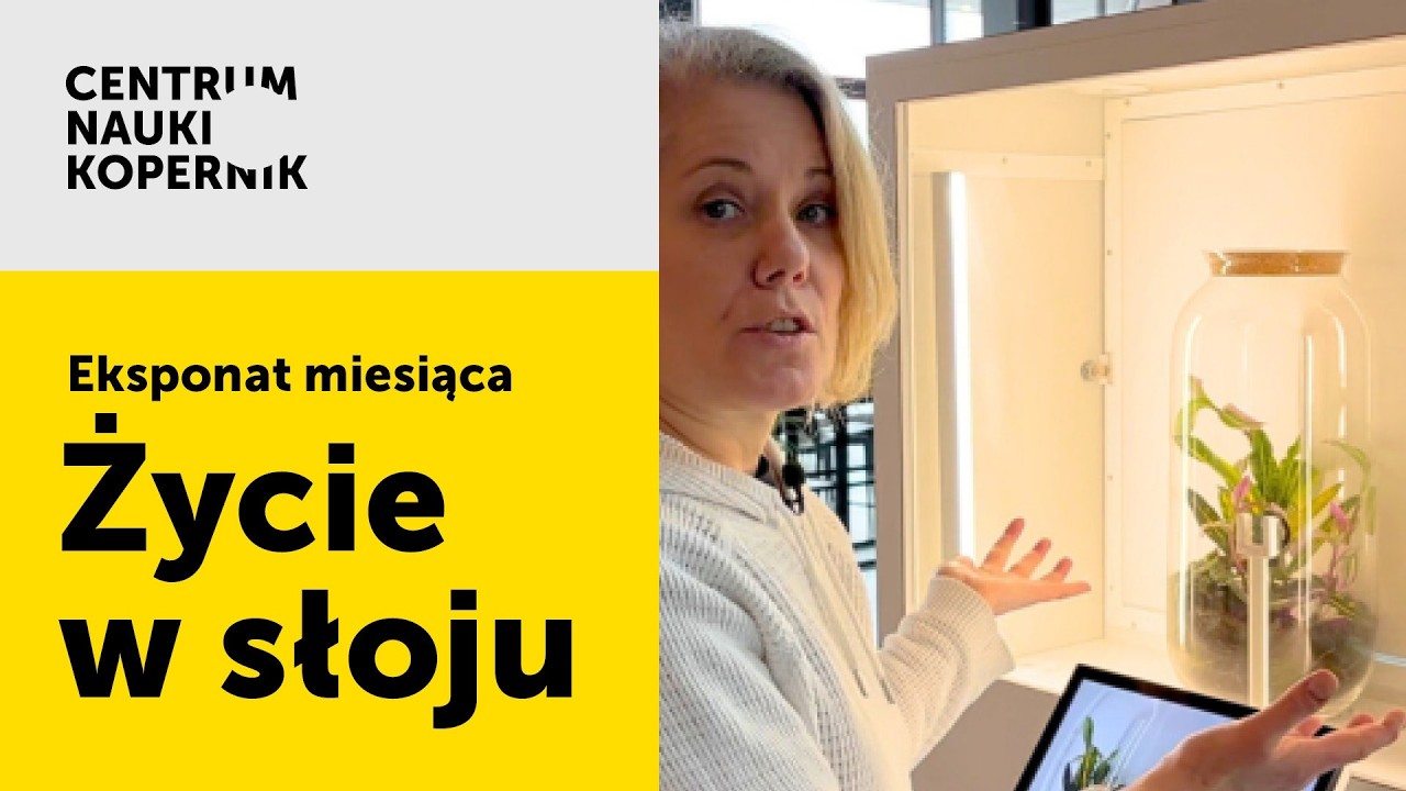 Eksponat: Życie w słoju