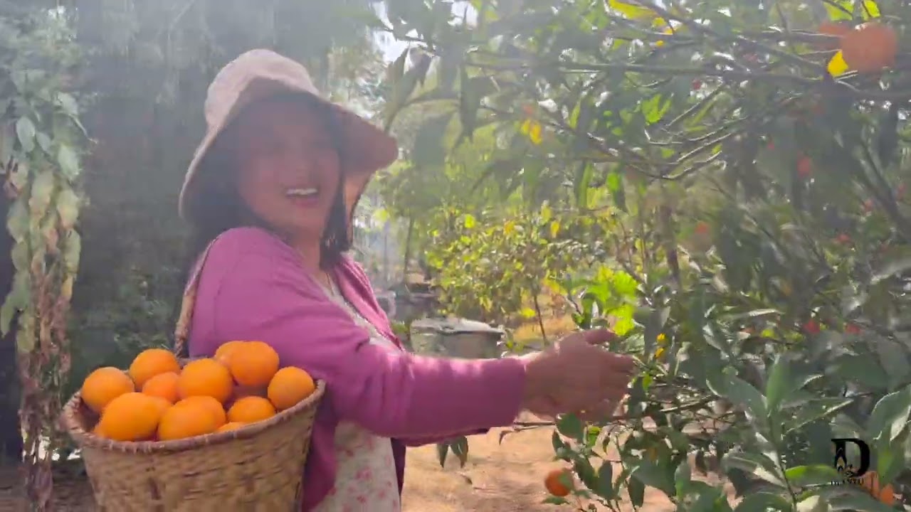 A Day of Harvest | Pure, Local Jafa Oranges