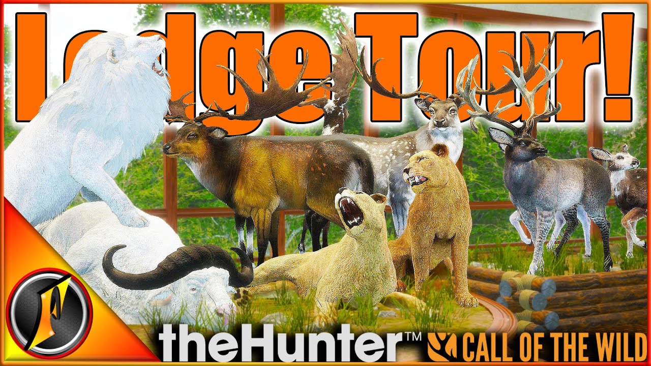 ЭПИЧЕСКИЙ тур Trophy Lodge! Суперредкие, великолепные, все бриллианты в игре! | Call of the Wild