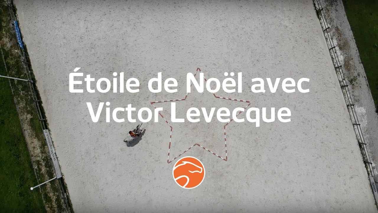 Travailler la direction et la rectitude à cheval - Equisense