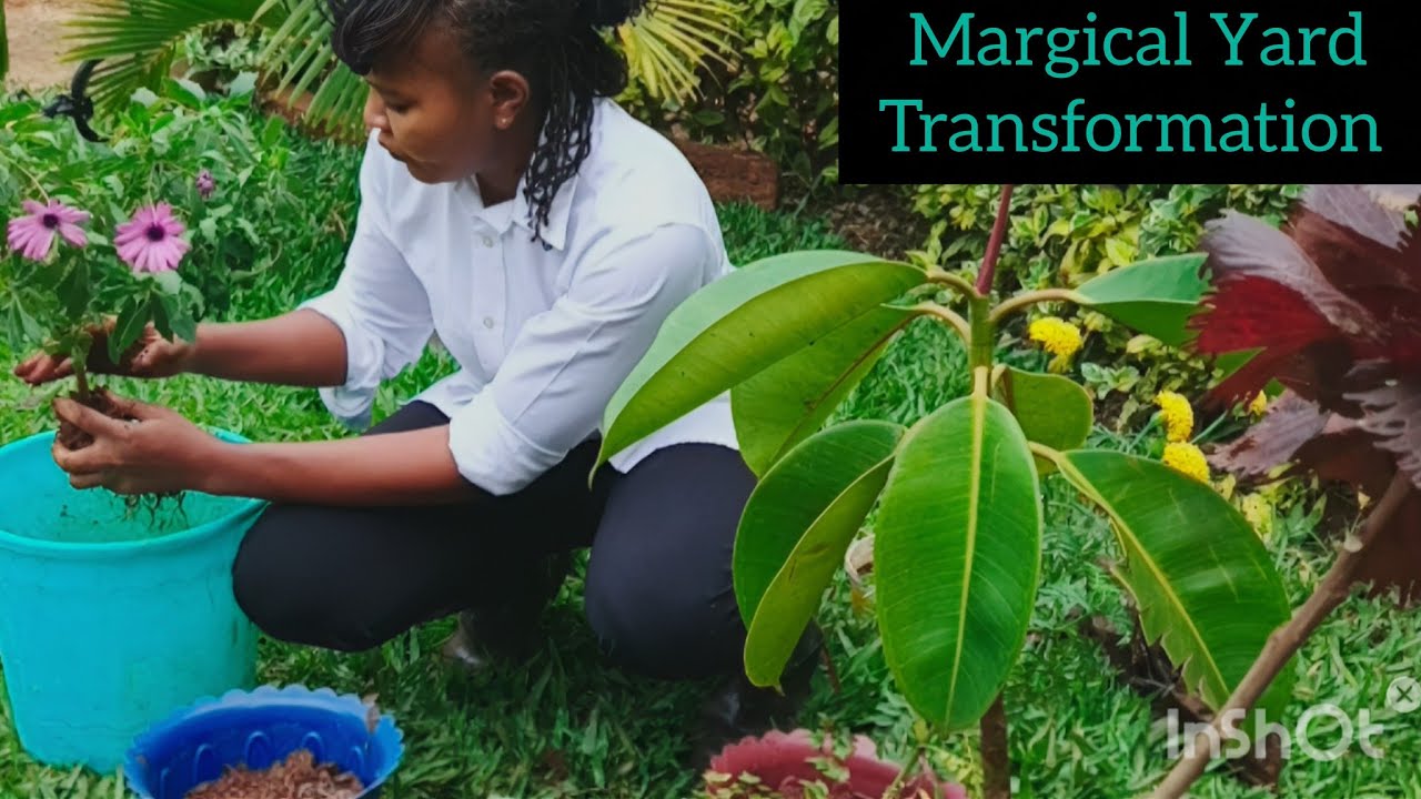 Turning my yard into paradise🦋/Massive Transplantation & Landscaping update🌿. 