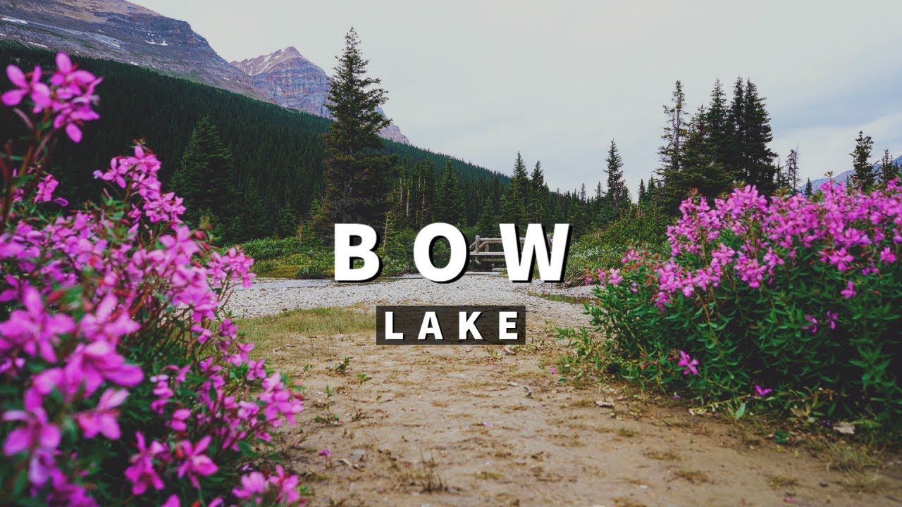 The Best of the Icefields Parkway | Bow Lake and Num-Ti-Jah Lodge | Banff NP【4K】