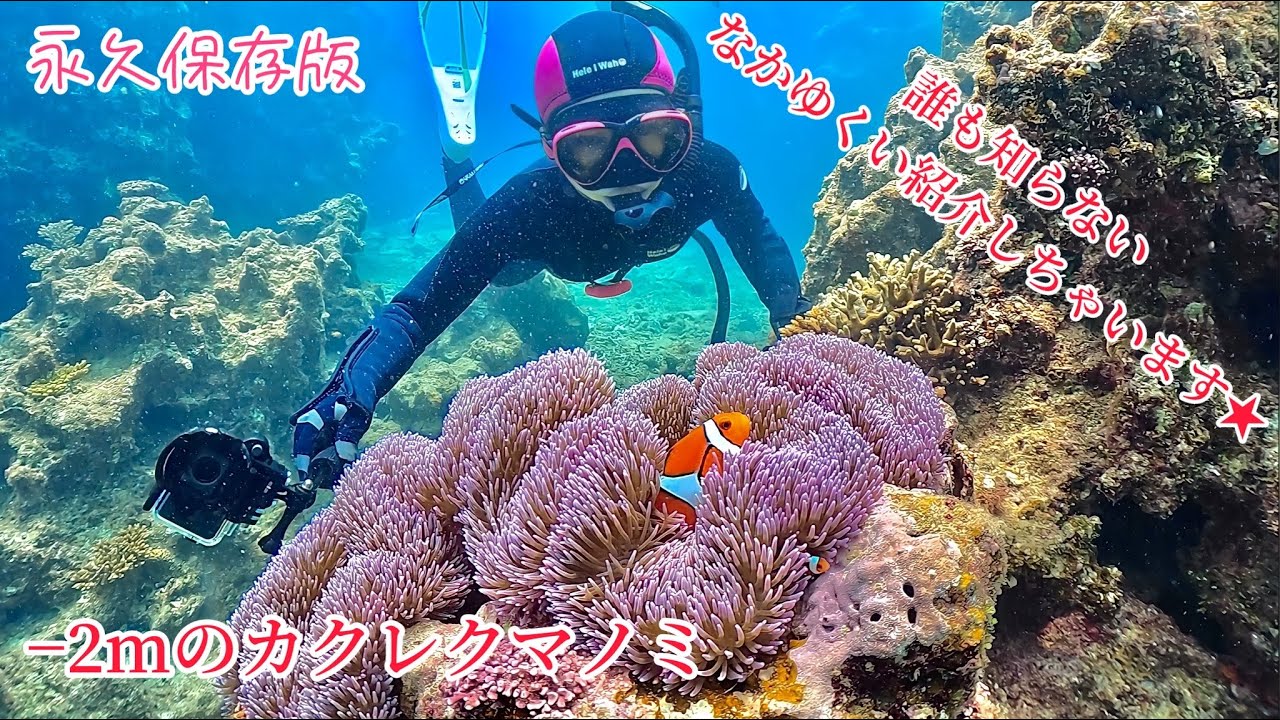 沖縄でも最高峰の海の１つ恩納村なかゆくい。まだまだみんな知らない所があるんです！