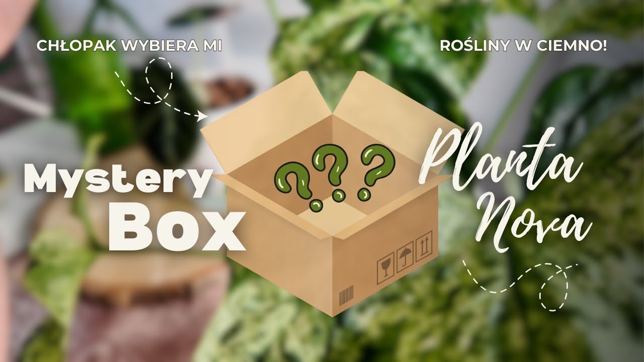 ‼️CHŁOPAK WYBIERA MI ROŚLINY W CIEMNO🪴MYSTERY BOX 🎁 UNBOXING 🪴PLANTA NOVA🪴