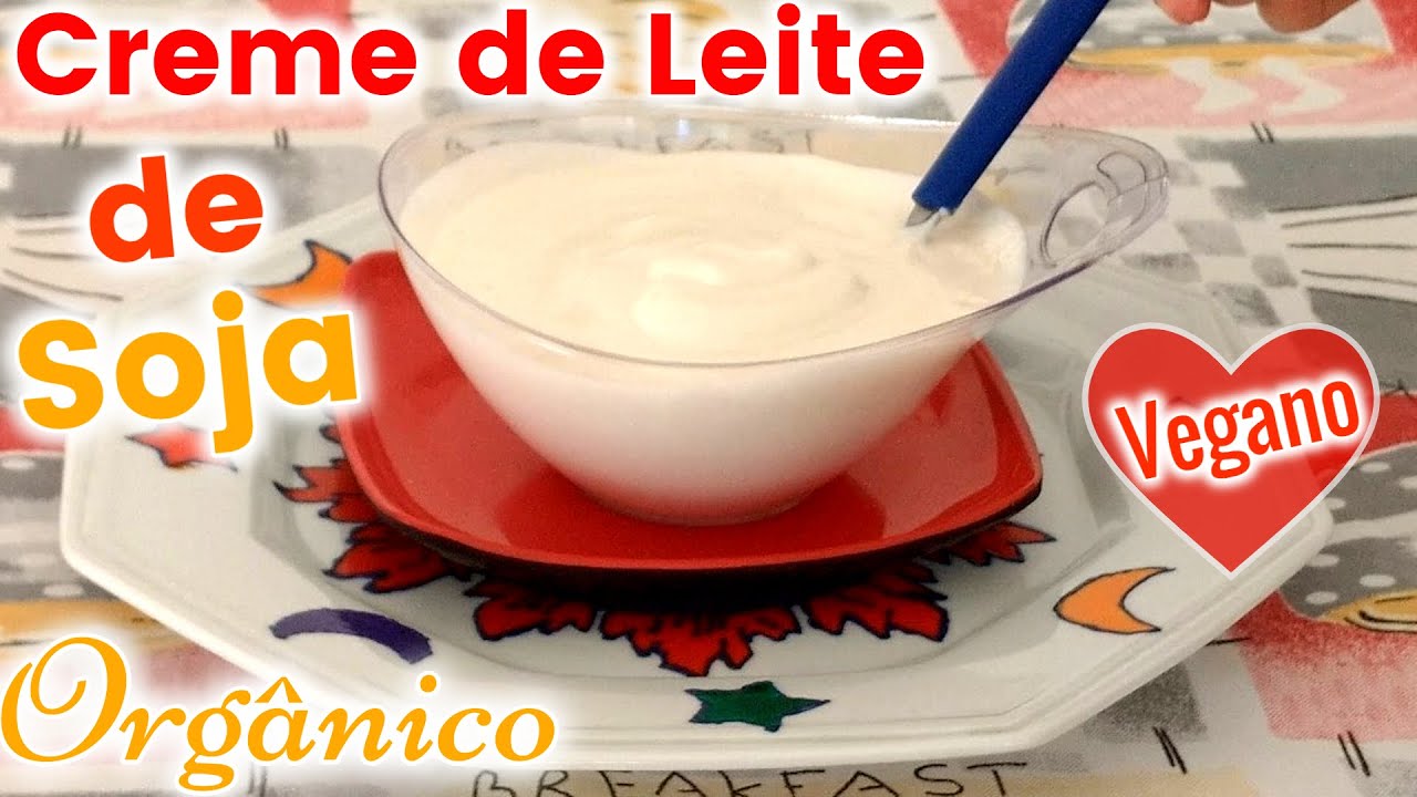Creme de Leite de Soja Vegano Orgânico Fácil Rápido Simples Caseiro e Sem Lactose KatiaVegana