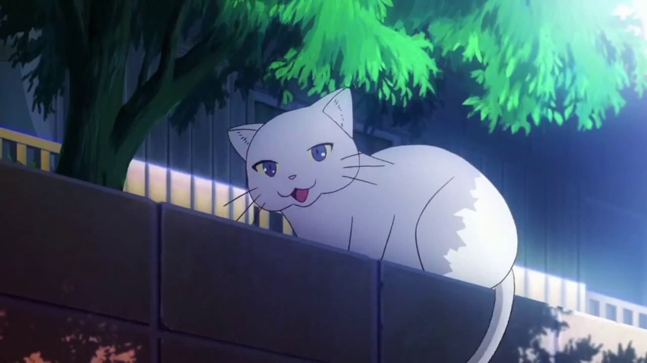 Dank Anime Memes P19 HD