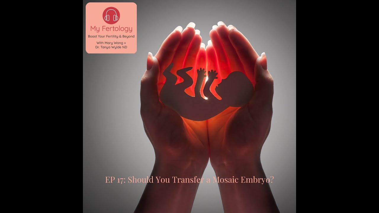 EP 17: Should You Transfer A Mosaic Embryo?