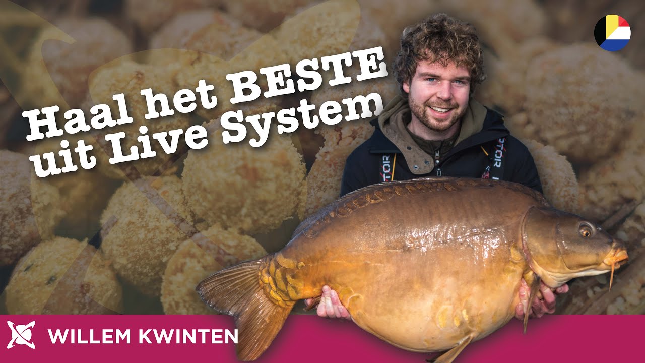 CC Moore Benelux - Haal het BESTE uit Live System met Willem Kwinten
