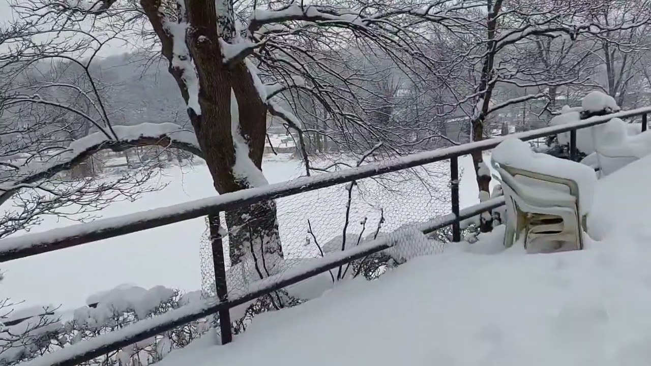 Thick snow ❄️ @ our backyard.