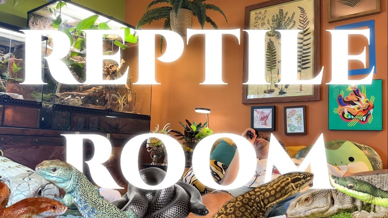 An Embarrassingly Vulnerable Reptile Room Tour (2024)