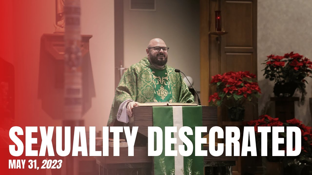 What the Catechism Says About Homosexuality As We Enter “Pride Month” - Fr. Patrick Schultz