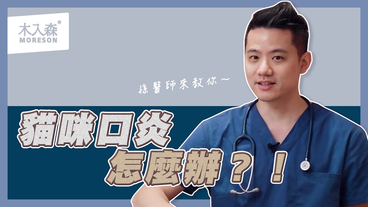 什麼是貓咪口炎？又該如何治療處理呢？讓獸醫師來告訴你！