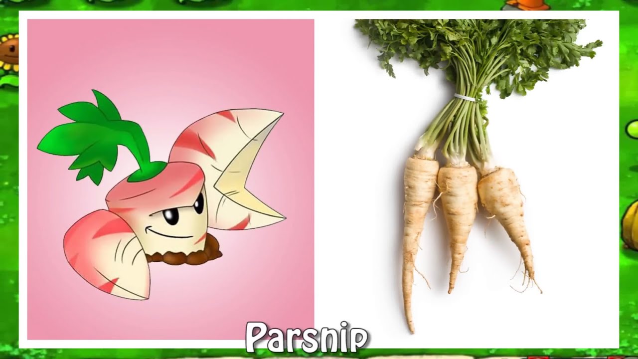 Plants Vs Zombies 1&2 All Characters in Real Life part 1