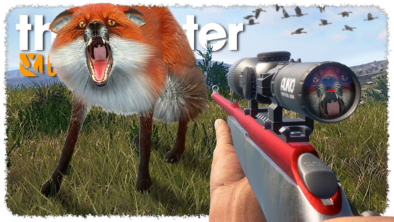 This Scotland Hunt Was PURE CHAOS (foxes everywhere) | theHunter CotW