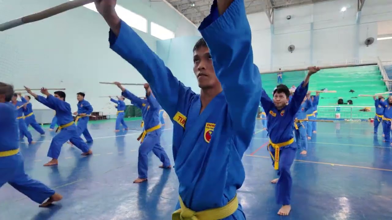 Tứ Tượng Côn Pháp và 12 phân thế côn tập huấn cao đẳng 2024 Vovinam