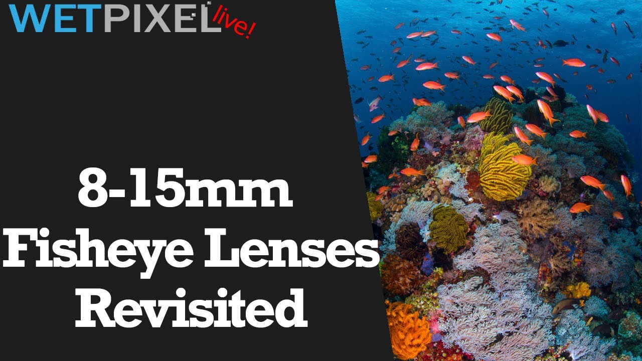 More Thoughts on 8-15mm Fisheye lenses for Underwater Photographers