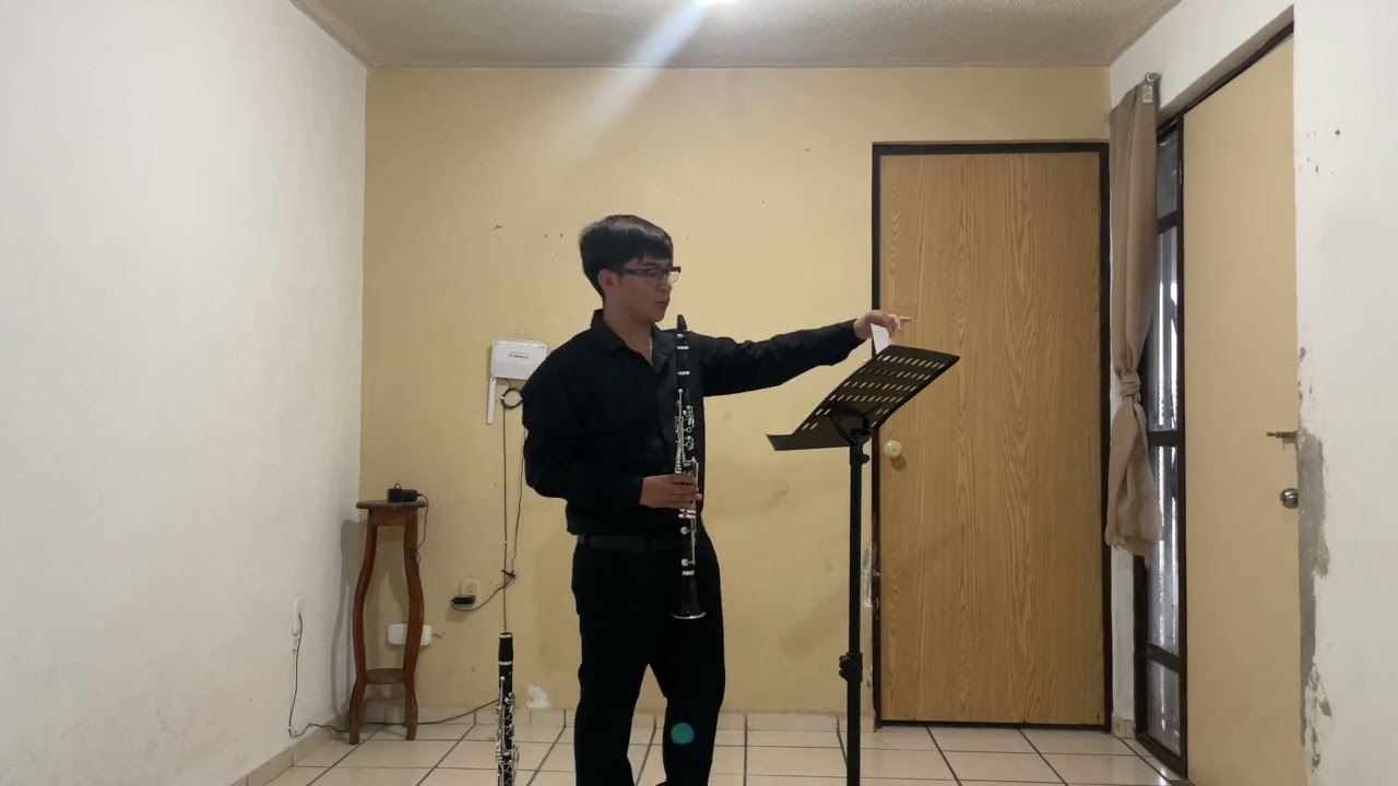 Efraín de Jesús López Landin, Clarinete, 17 años, Guanajuato. Audición OSIM 2025