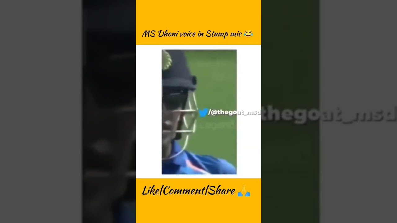 3 Funny moments When MS Dhoni voice caught in Stump mic 😂 #shorts