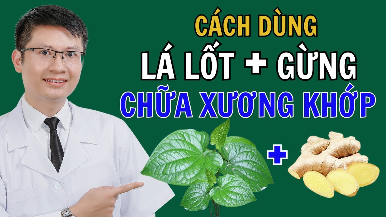 Thực Hư Lá Lốt Và Gừng Chữa Đau Nhức Khớp | Cao Minh Trường