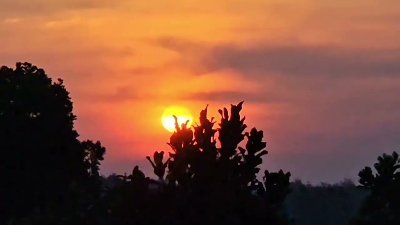 Sunset disawah#vlog #sawah