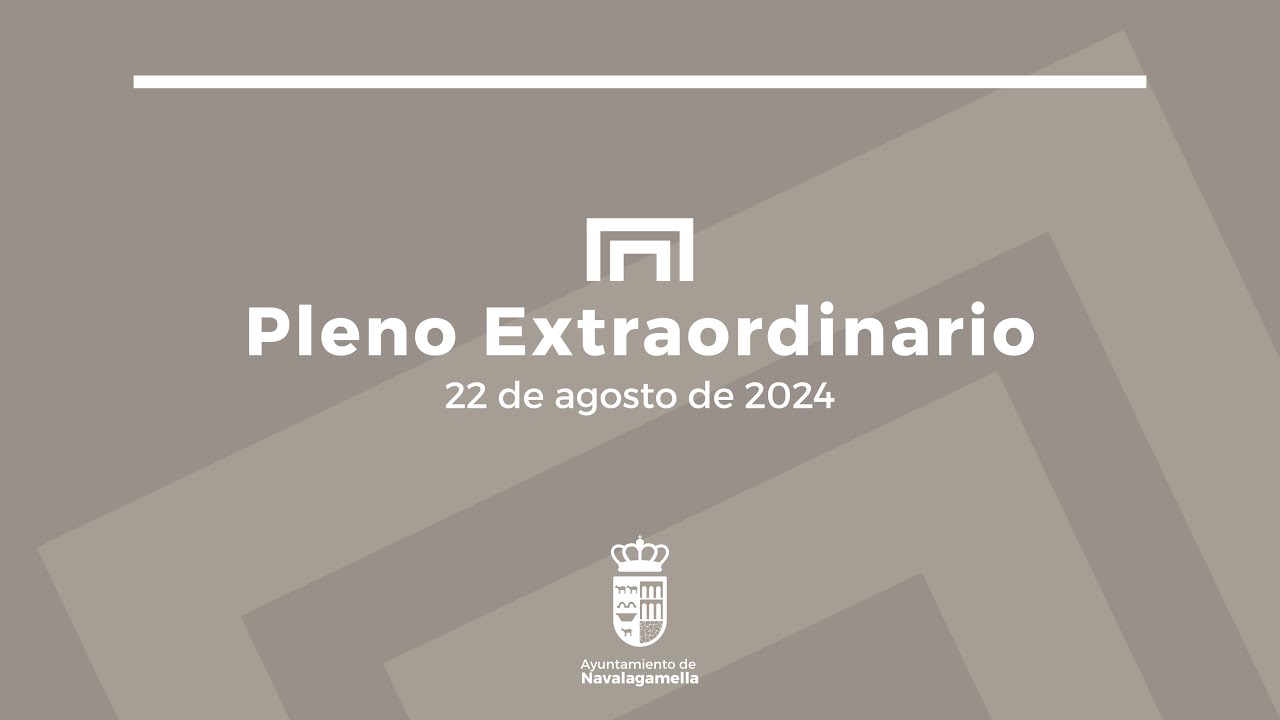 PLENO EXTRAORDINARIO - 22/08/2024