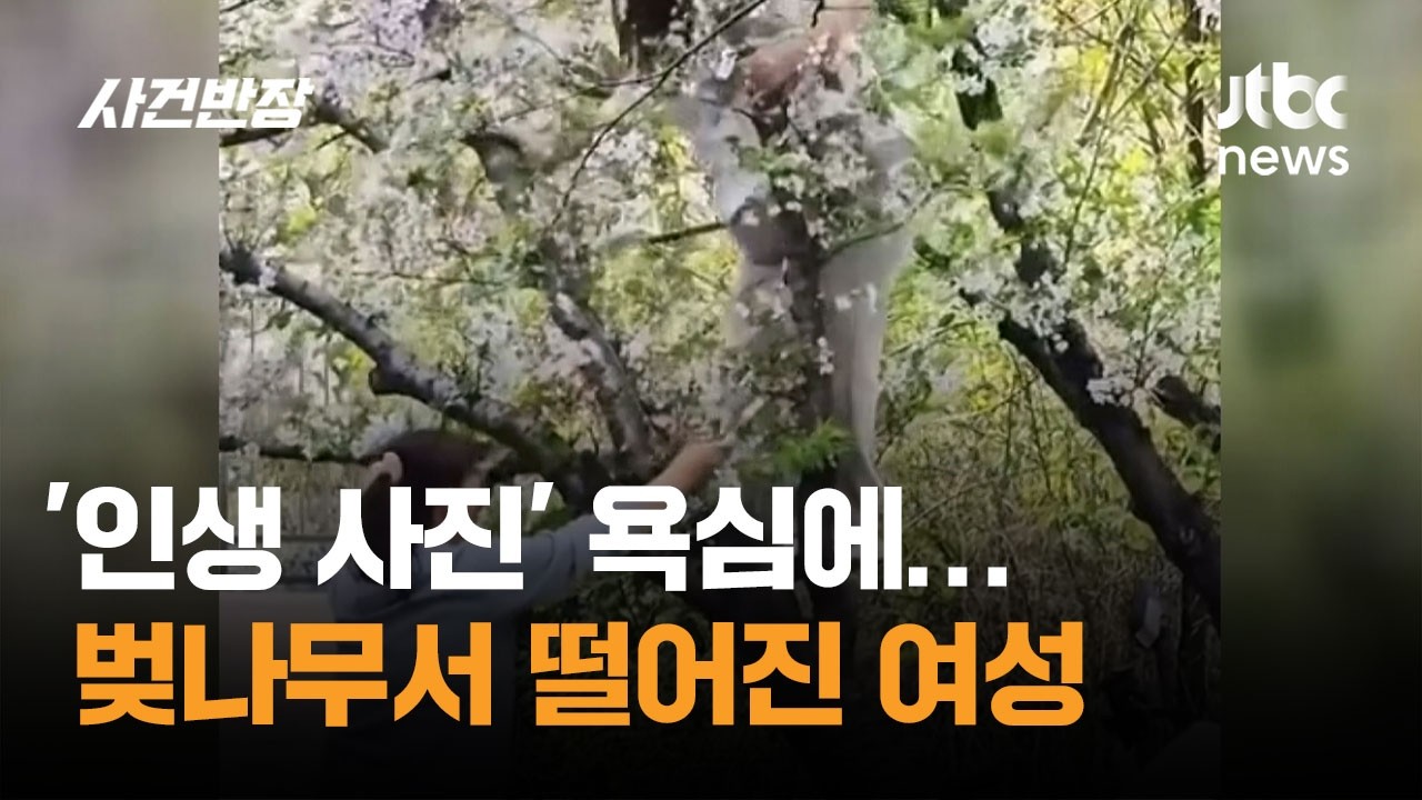 '인생 사진' 욕심에&hellip;벚나무서 떨어진 여성 #글로벌픽 / JTBC 사건반장