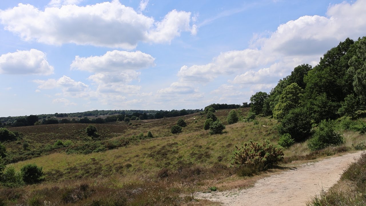 Posbank Nature Walk | Rolling Hills of the Veluwezoom in 4K