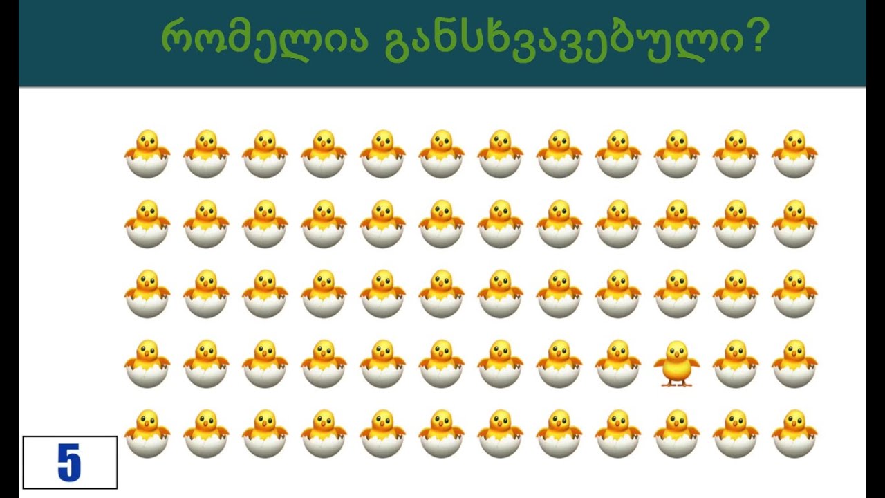 ხედვის ტესტი.სახალისო გამოცანები(xedvis testi)