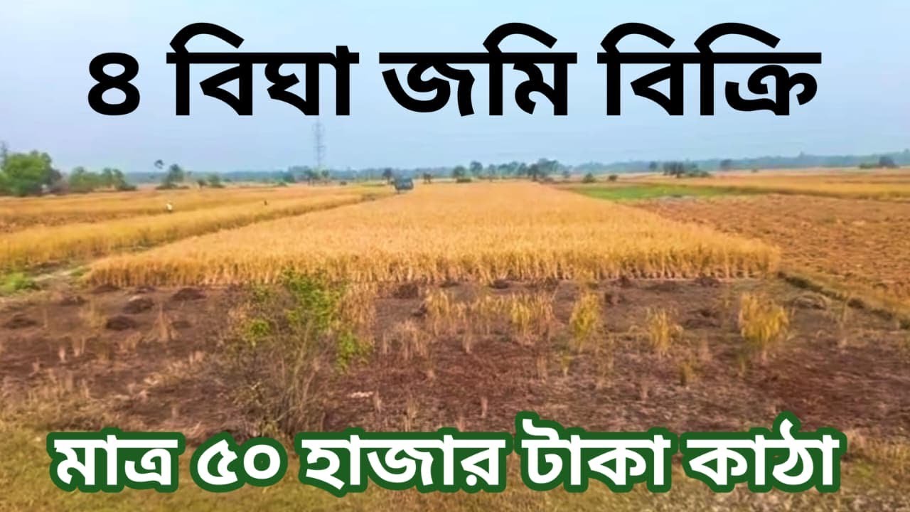 ৪ বিঘা জমি বিক্রি