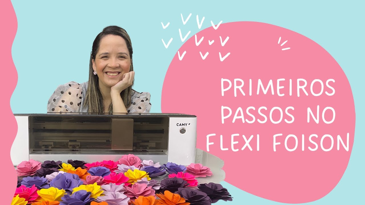 Primeiros Passos no Flexi Foison